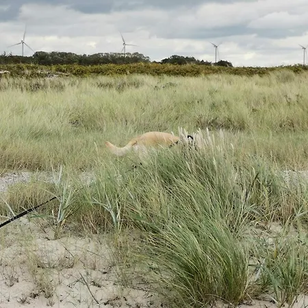 別荘 Seaside Retreat In Lolland