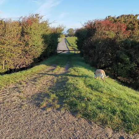 Seaside Retreat In Lolland - By Traum 펜션 Dannemare