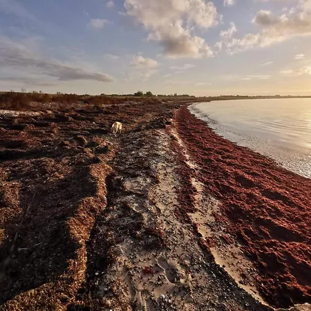 Seaside Retreat In Lolland - By Traum 펜션